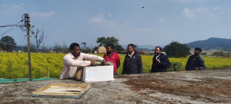 जशपुर में मधुमक्खी पालन से महक रही किसानों की किस्मत: राष्ट्रीय बागवानी मिशन के तहत मिल रहा भारी अनुदान