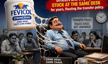 कुर्सी से 'फेविकोल' सा जोड़: सालों से एक ही पटल पर जमे अधिकारी-कर्मचारी, ट्रांसफर नीति को दिखा रहे ठेंगा