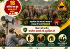 16 हाथियों का दल बगीचा क्षेत्र में सक्रिय; माइक और सायरन से दी जा रही चेतावनी, विभाग ने ग्रामीणों से की सतर्क रहने की अपील