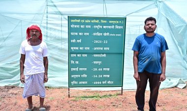 जशपुर के किसान अनारथ साय ने संरक्षित खेती से लिखी सफलता की नई इबारत, ऑयल पाम और इंटर-क्रॉपिंग से बने आर्थिक रूप से मजबूत